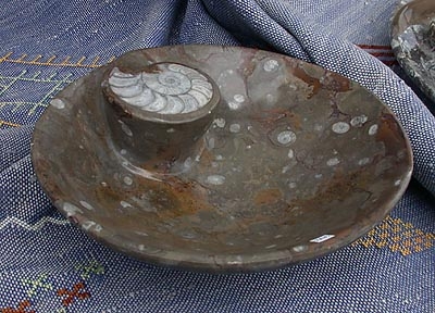Fossilienplatte Ammonit Marokko